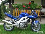 Creptus laděný výfuk na Suzuki SV 650/650S ovál