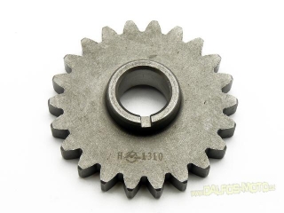 startovací kolečko pro motor Stomp YX140/160