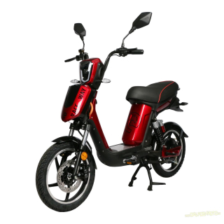 RACCEWAY E-BABETA, vínová metalíza