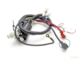 pitbike hlavní kabeláž pro motor Zongshen 190 s elektrickým startérem