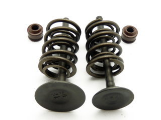 sada ventilů pro motor Stomp YX 160