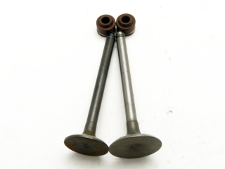 sací a výfukový ventil s gufery pro motor Stomp Zongshen 155