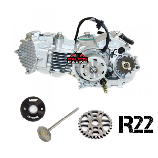 pitbike motor YX 160 R22