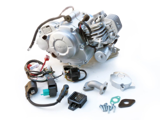 pitbike motor pro Minipit Zongshen 65